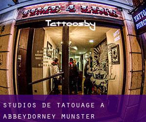 Studios de Tatouage à Abbeydorney (Munster)