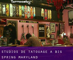 Studios de Tatouage à Big Spring (Maryland)