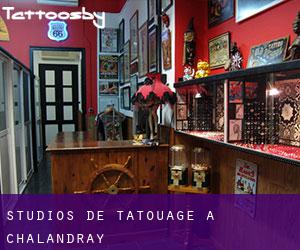 Studios de Tatouage à Chalandray