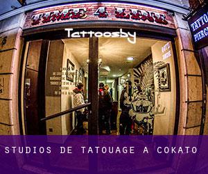 Studios de Tatouage à Cokato