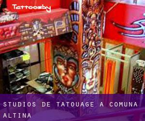 Studios de Tatouage à Comuna Alţina
