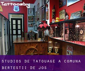 Studios de Tatouage à Comuna Berteştii de Jos