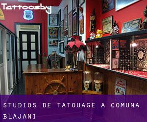 Studios de Tatouage à Comuna Blăjani