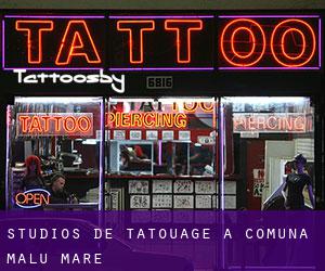 Studios de Tatouage à Comuna Malu Mare