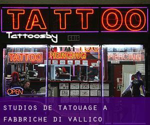 Studios de Tatouage à Fabbriche di Vallico