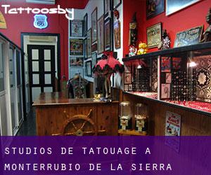 Studios de Tatouage à Monterrubio de la Sierra