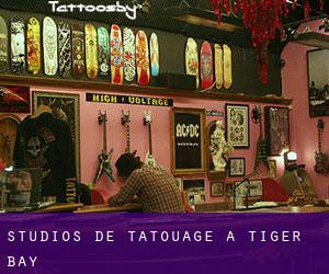 Studios de Tatouage à Tiger Bay