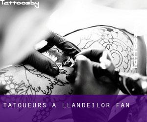 Tatoueurs à Llandeilor-Fan