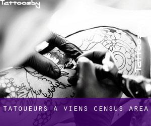 Tatoueurs à Viens (census area)