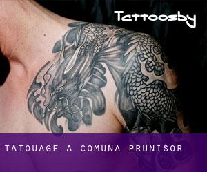 tatouage à Comuna Prunişor