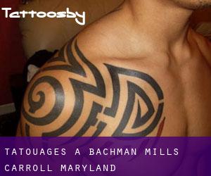 tatouages ​​à Bachman Mills (Carroll, Maryland)