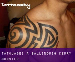 tatouages ​​à Ballinorig (Kerry, Munster)