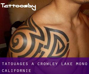 tatouages ​​à Crowley Lake (Mono, Californie)